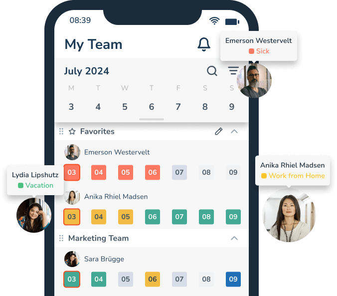 Team view on the phone